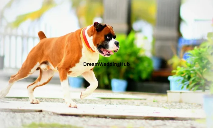 Grooveab Photography  HQ